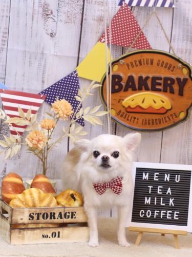 20240905りゅうくん